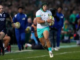 Springboks: Cheslin Kolbe reveals the origins of his side-step : Planet Rugby