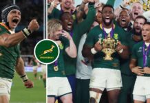 Springboks: Where are they now? The 2019 Rugby World Cup-winners : Planet Rugby