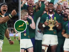 Springboks: Where are they now? The 2019 Rugby World Cup-winners : Planet Rugby