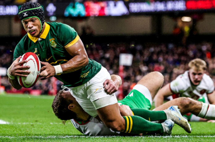 Wales v South Africa - Autumn Nations Series 2024