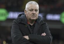 Wales clash with Boks eclipsed by Gatland speculation