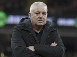 Wales clash with Boks eclipsed by Gatland speculation