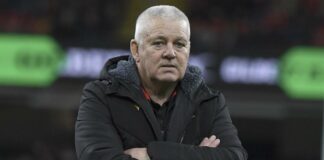 Wales clash with Boks eclipsed by Gatland speculation