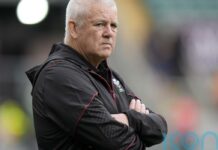 Wales rugby bosses hope review into dismal run will be completed by Christmas