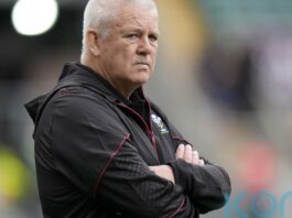 Wales rugby bosses hope review into dismal run will be completed by Christmas