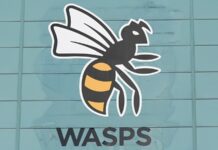 Wasps