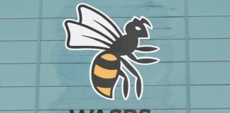 Wasps