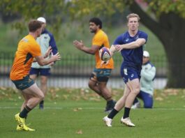 Wing 'wizard' Harry Potter to play for Australia's rugby team. He knows the puns are coming