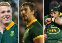 World Rugby Awards: Springboks dominate nominations : Planet Rugby