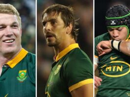 World Rugby Awards: Springboks dominate nominations : Planet Rugby