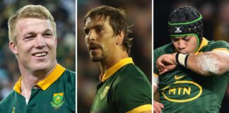 World Rugby Awards: Springboks dominate nominations : Planet Rugby