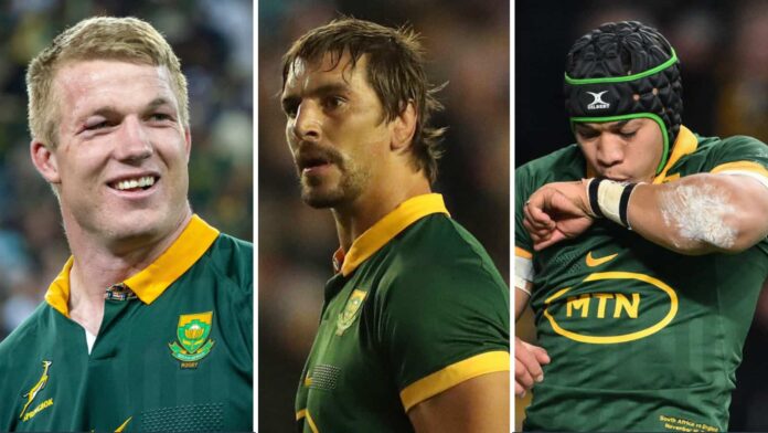 World Rugby Awards: Springboks dominate nominations : Planet Rugby