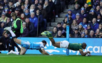 World champ Springboks earn scrappy win over Scotland