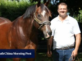 Former Hong Kong rugby captain Nick Hewson’s Ka Ying Rising connection | HK Racing