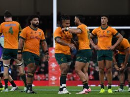 Rugby Australia set ambitious goal for Wallabies ahead of British & Irish Lions tour