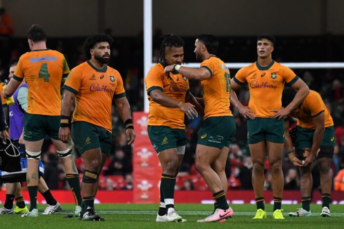 Rugby Australia set ambitious goal for Wallabies ahead of British & Irish Lions tour