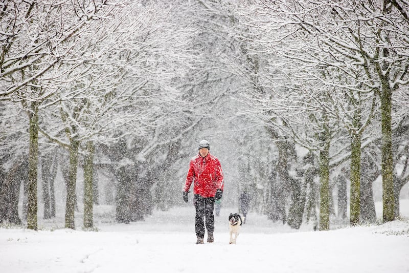 Donal O’Dea and his dog “Reily“ in Fairview Park, Dublin. Photograph: Tom Honan