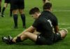 Springboks All Blacks