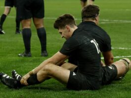 Springboks All Blacks