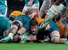 Australia not yet ready to silence the Lions roar, says national rugby coach Joe Schmidt