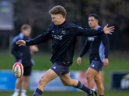 Barrett shines again for Leinster in the Champions Cup » allblacks.com