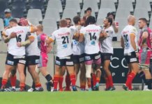 Cheetahs want to return to Super Rugby