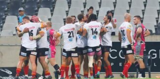 Cheetahs want to return to Super Rugby