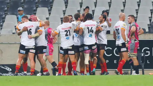 Cheetahs want to return to Super Rugby