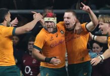 How ‘cut-throat’ Wallabies sparked hope for Australia’s rugby revival