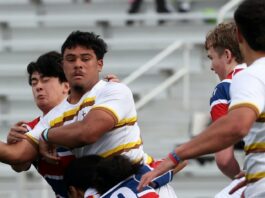 Is High School Rugby Growing? If Yes, Why?