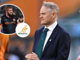Joe Schmidt's stocks boosted as All Black joins Super Rugby rivals : Planet Rugby
