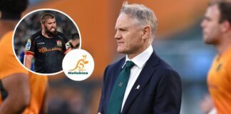 Joe Schmidt's stocks boosted as All Black joins Super Rugby rivals : Planet Rugby