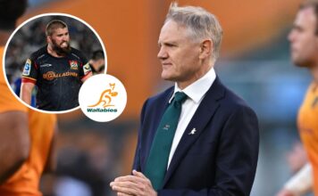 Joe Schmidt's stocks boosted as All Black joins Super Rugby rivals : Planet Rugby