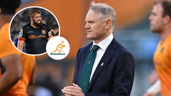 Joe Schmidt's stocks boosted as All Black joins Super Rugby rivals : Planet Rugby