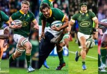 Nominees revealed for SA Rugby Awards 2024