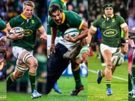 Nominees revealed for SA Rugby Awards 2024