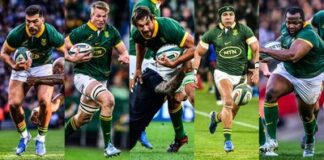 Nominees revealed for SA Rugby Awards 2024