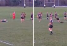 'Oh deer' - Rugby player 'wiped out' by animal in club match : Planet Rugby