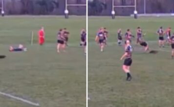 'Oh deer' - Rugby player 'wiped out' by animal in club match : Planet Rugby