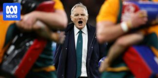 Rugby Australia release five-year plan, setting sights on Bledisloe Cup victory