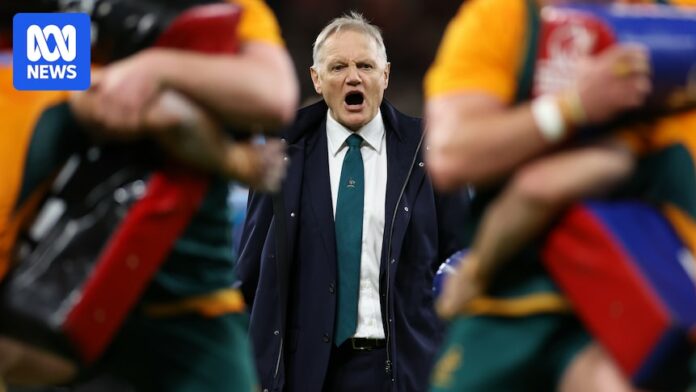 Rugby Australia release five-year plan, setting sights on Bledisloe Cup victory