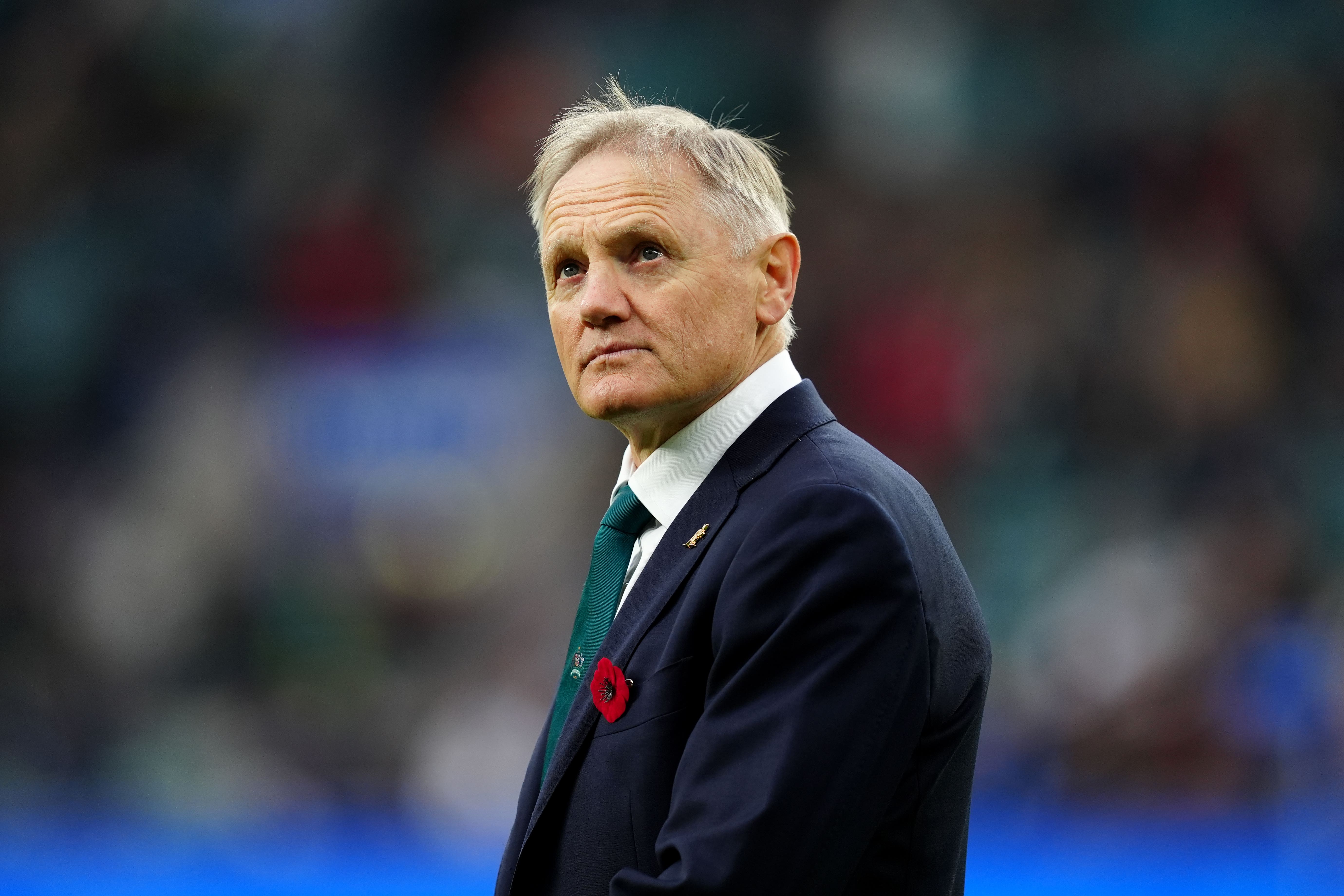 Joe Schmidt’s Australia will take on the Lions next summer