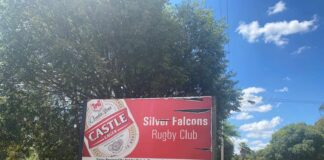 Rugby club must vacate Tshwane's Silver Falcon facility