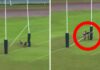 Rugby player suffers ‘craziest injury’ as crossbar falls on his head