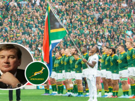 SA Rugby receives fresh equity deal proposal from NEW consortium : Planet Rugby