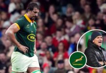 SA Rugby warned over Springboks stars as Rugby World Cup in 'danger' : Planet Rugby