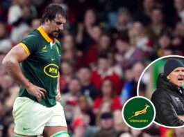 SA Rugby warned over Springboks stars as Rugby World Cup in 'danger' : Planet Rugby