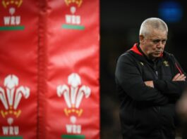 Under-pressure Wales Boss Gatland Says He 'Knows It's About Results'