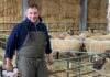 I was an England Rugby World Cup winner – now I’m a full-time farmer who has suffered huge setbacks