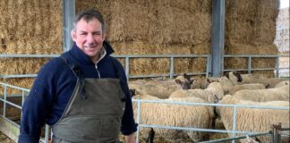 I was an England Rugby World Cup winner – now I’m a full-time farmer who has suffered huge setbacks